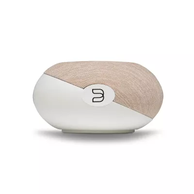 Bluesound Pulse Cinema Mini P431 in Geneva | Digistore.ch